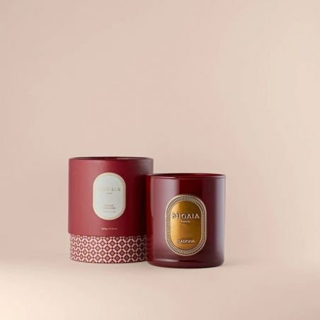 Bugaia Paris Isadora žvakė 290 g