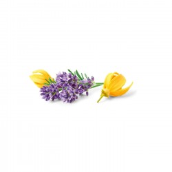 Natūralus dezodoranto purškiklis Lavender Ylang, 100ml-HAPPY EARTH-HAPPY EARTH