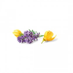 Kietasis dušo prausiklis Lavender Ylang, 90g-HAPPY EARTH-HAPPY EARTH