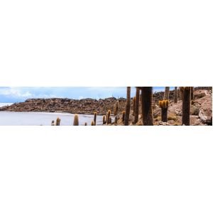 Treatments Uyuni dušo putos 250 ml