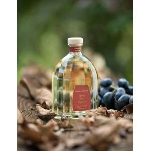 Officina Delle Essenze Fresco Bosco namų kvapas su lazdelėmis 250 ml