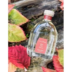 Officina Delle Essenze Fresco Bosco namų kvapas su lazdelėmis 250 ml