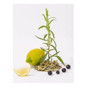 CDP White Tea skystas muilas 300 ml