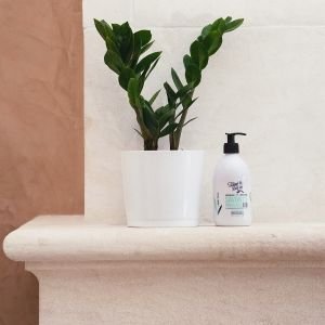 Theophile Berthon Peppermint dušo želė 500 ml