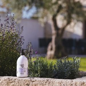 Theophile Berthon Lavender dušo želė 500 ml