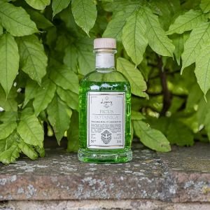 Logevy Firenze 1965 Ficus Botanica namų kvapas 100 ml