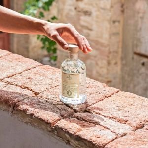 Logevy Firenze 1965 Albicocca E Basilico namų kvapas 100 ml