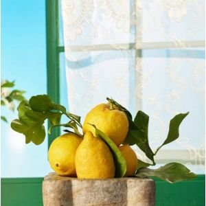 Rudy Milano Sicilian Lemon drėkinamasis kūno kremas 450 ml