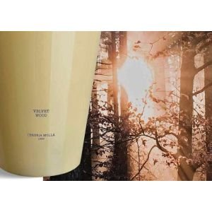 Cereria Molla Velvet Wood namų kvapų difuzorius 100 ml