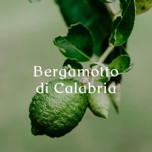 Cereria Molla Bergamotto Di Calabria smilkalai 20 vnt