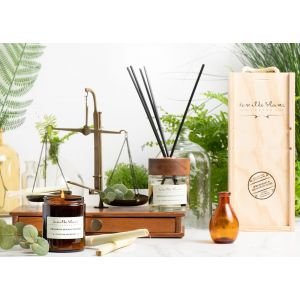 Vanilla Blanc Grosso Lavender & Wild Vetivert dovanų rinkinys