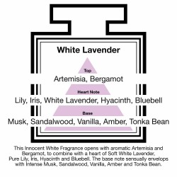 Pairfum London WHITE LAVENDER namų kvapas su lazdelėmis, 100 ml-PAIRFUM LONDON-PAIRFUM