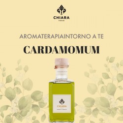 CARDAMOMUM namų kvapas 200ml-CHIARA FIRENZE-CHIARA FIRENZE