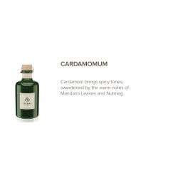 CARDAMOMUM COLORATA namų kvapas, 250ml-CHIARA FIRENZE-CHIARA FIRENZE