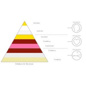 Muschieri Venezia Terra Di Sicilia namų kvapų difuzorius 250 ml